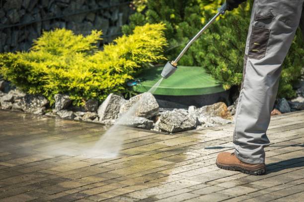 Best Driveway Pressure Washing  in St Augustine, FL