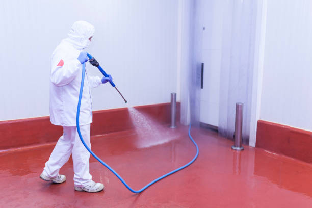 Boat and Dock Cleaning in St Augustine, FL